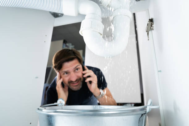 Best Plumbing Inspection Services  in Azalea Park, FL